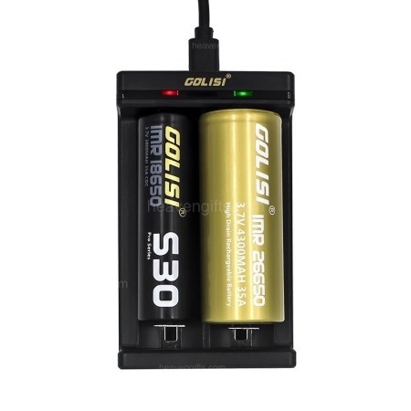 Golisi NEEDLE2 USB 2 SLOT Caricabatterie