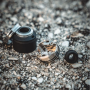 Voodooll - FREDDY RDA BF