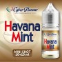 copy of MINI SHOT - Cyber Flavour - JAPAN CAKE - aroma 10+10 in flacone da 30ml