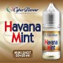 copy of MINI SHOT - Cyber Flavour - JAPAN CAKE - aroma 10+10 in flacone da 30ml
