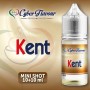 copy of MINI SHOT - Cyber Flavour - MEX TEX - aroma 10+10 in flacone da 30ml