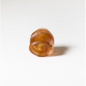 Officine Svapo DRIP TIP HYDRA Metacrilato - Ambra