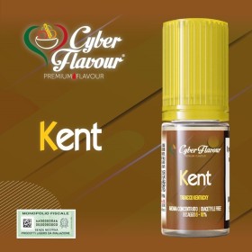 copy of copy of Cyber Flavour - VIRGINIA aroma 10ml
