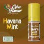 copy of copy of copy of copy of copy of Cyber Flavour - VIRGINIA aroma 10ml