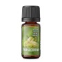 copy of copy of copy of copy of copy of copy of copy of copy of SvapoNext - Starter Flavour - BANANA CREAM aroma 10ml