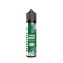 SHOT - BlendFeel - Pianeta Menta - CINNA MINT - aroma 20+40 in flacone da 60ml