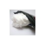 Coton COTTON BACON V2