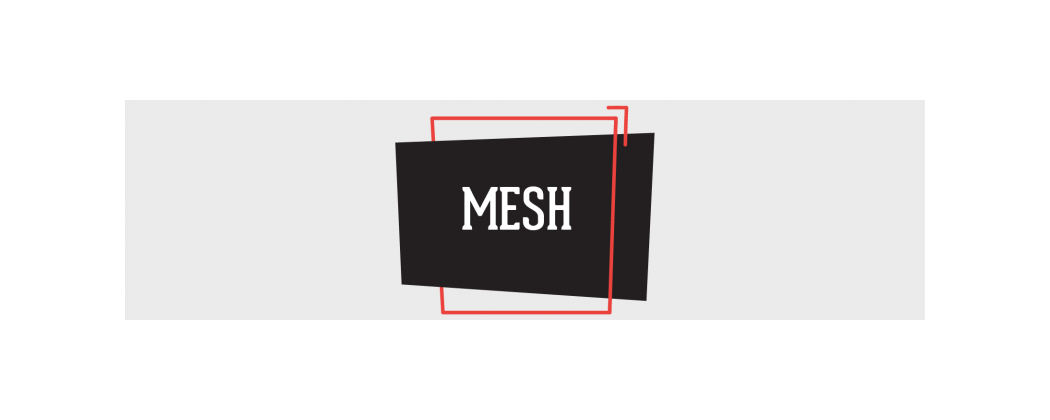 Stainless Steel mesh 100x80mm
