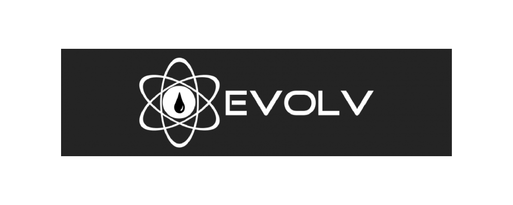 CHIPSET EVOLV DNA