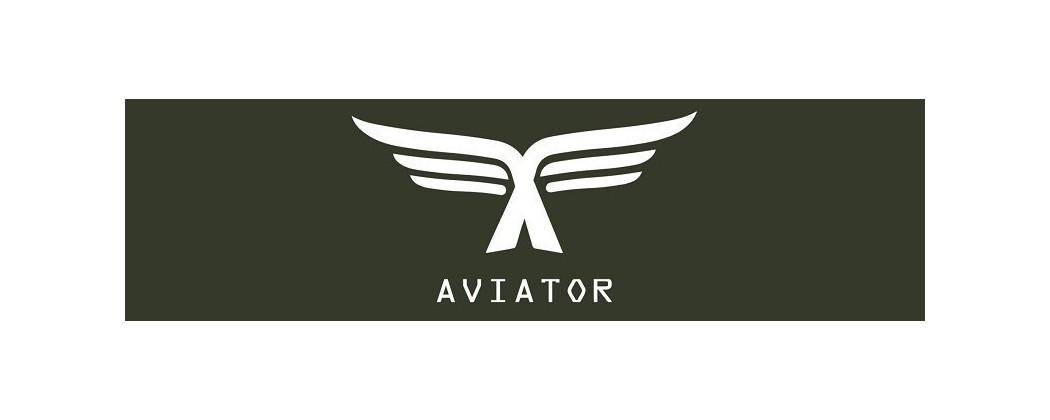 AVIATOR MODS