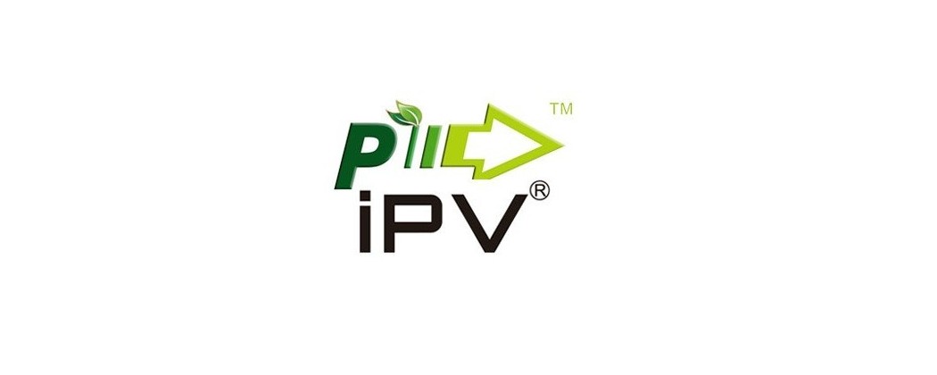 PIONEER4YOU IPV