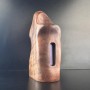 Kopie von Fakirs Mods - ILLUSIA C MOD - Chipset Dicodes BF60 - Legno di Noce Turco