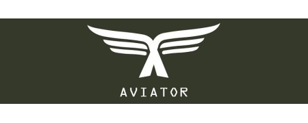 AVIATOR MODS