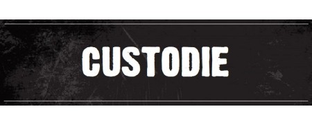 CUSTODIES