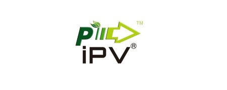 PIONEER4YOU IPV