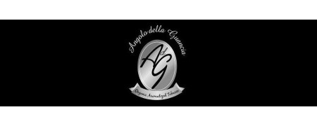 ADG - ANGOLO DELLA GUANCIA